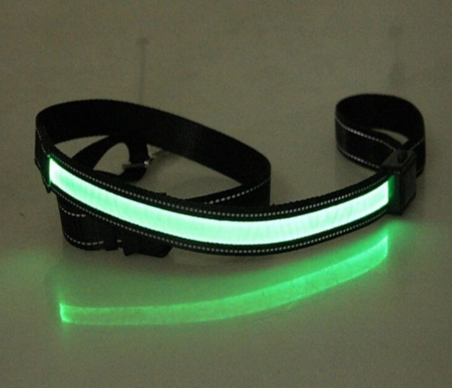 Fluorescent Dog Collar For Nighttime Visibility