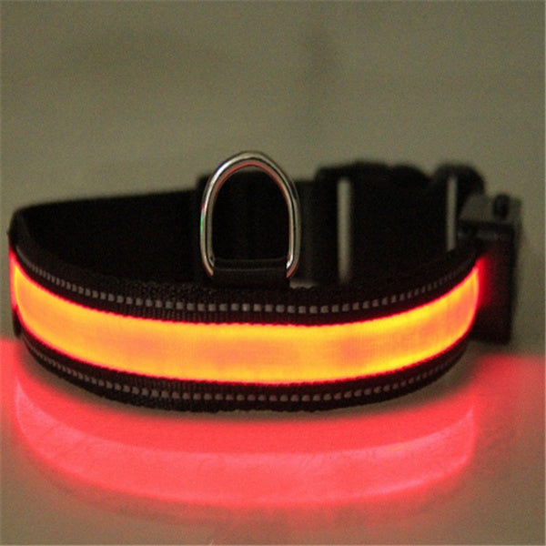 Fluorescent Dog Collar For Nighttime Visibility