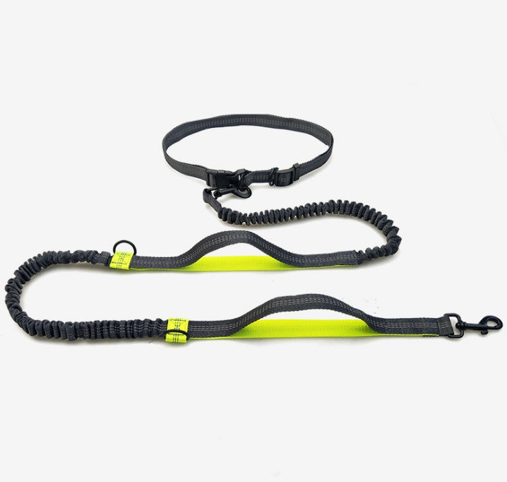 Reflective Double Elastic Dog Leash For Running And Training