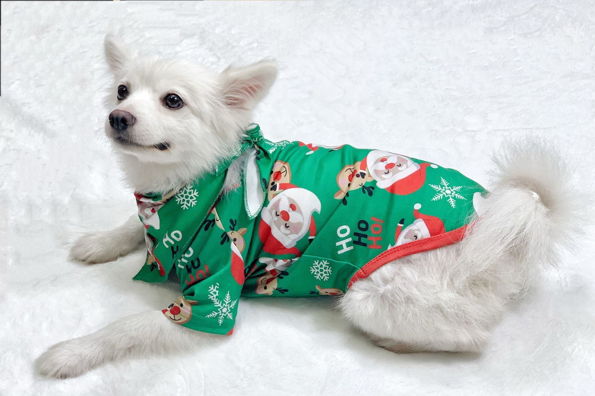 Ho ho ho groen en rood bijpassende familie Christmas Pyjama Set