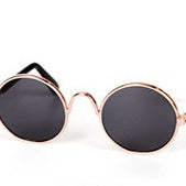 Stylish Cat Sunglasses For Fun And Protection