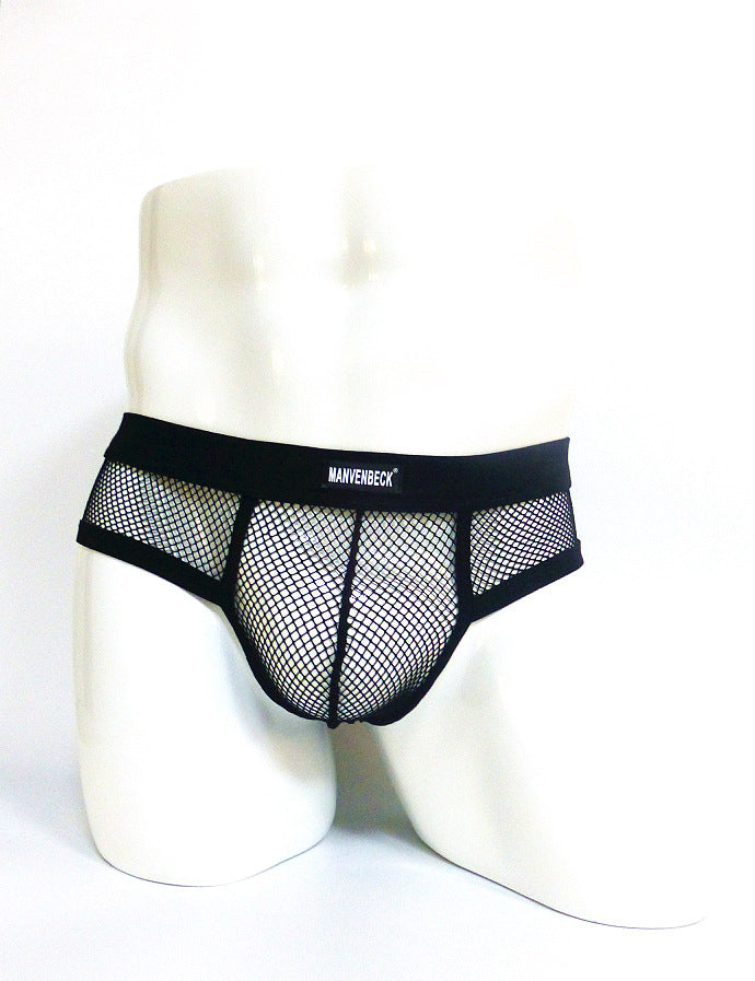 Sheer Mesh Fish Net Thong Briefs