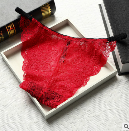Copertura completa Breve stile biancheria intima in pizzo