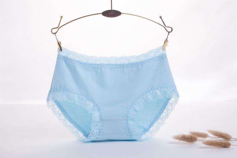 Lace Trim High Rise Hipster Panty-Light Blue-Theone Apparel
