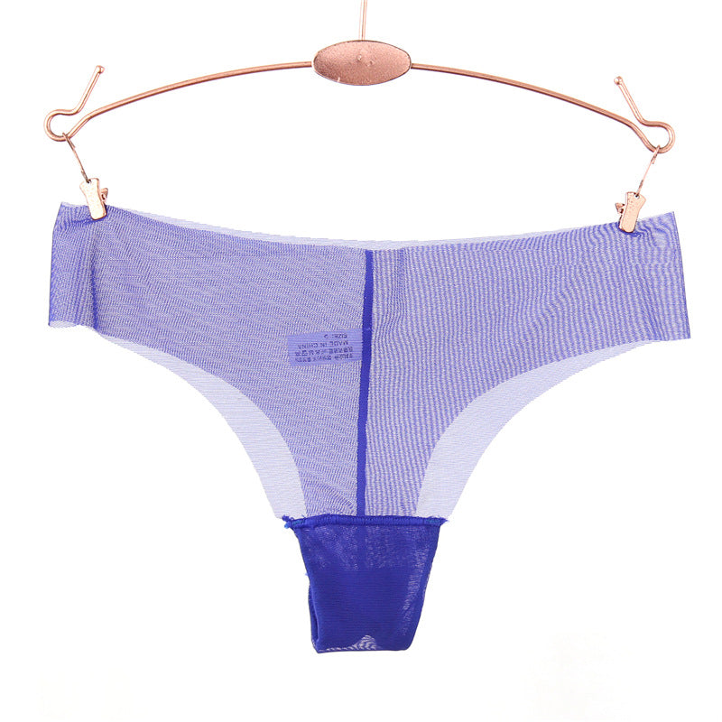 Raw Edge Transparent Mesh Thong Panty-Blue-Theone Apparel