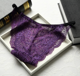 Full Coverage Brief Style Lace Underwear